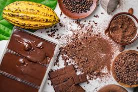 Cokelat Artisan Perkuat Industri Pengolahan Kakao
