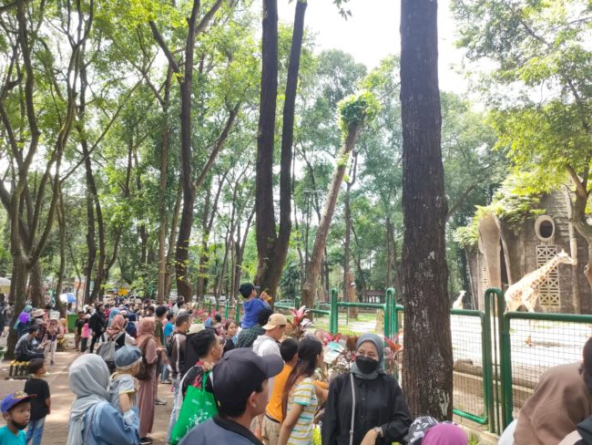 Suasana di dalam Taman Margasatwa Ragunan (Konteks.co.id/Lopi Kasim)