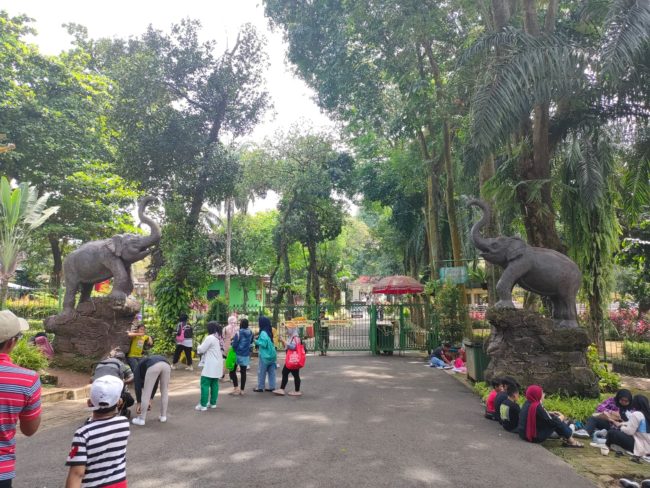Suasana di dalam kawasan Taman Margasatwa Ragunan (Konteks.co.id/Lopi Kasim)