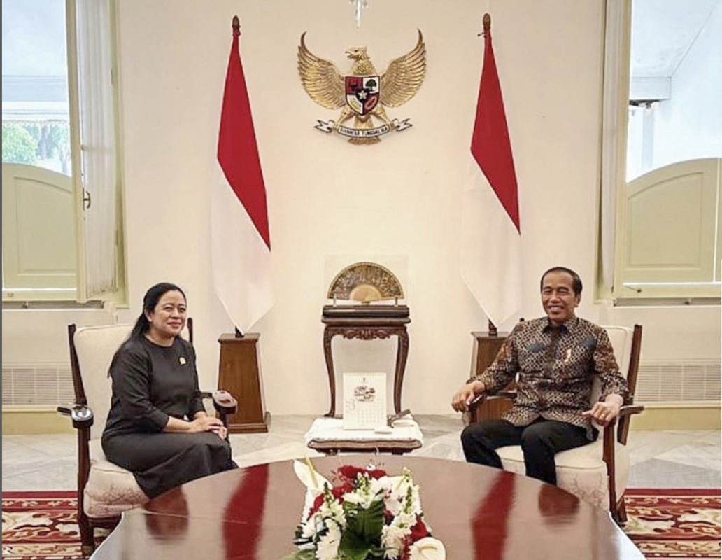 Puan Maharani bertemu Presiden Joko Widodo