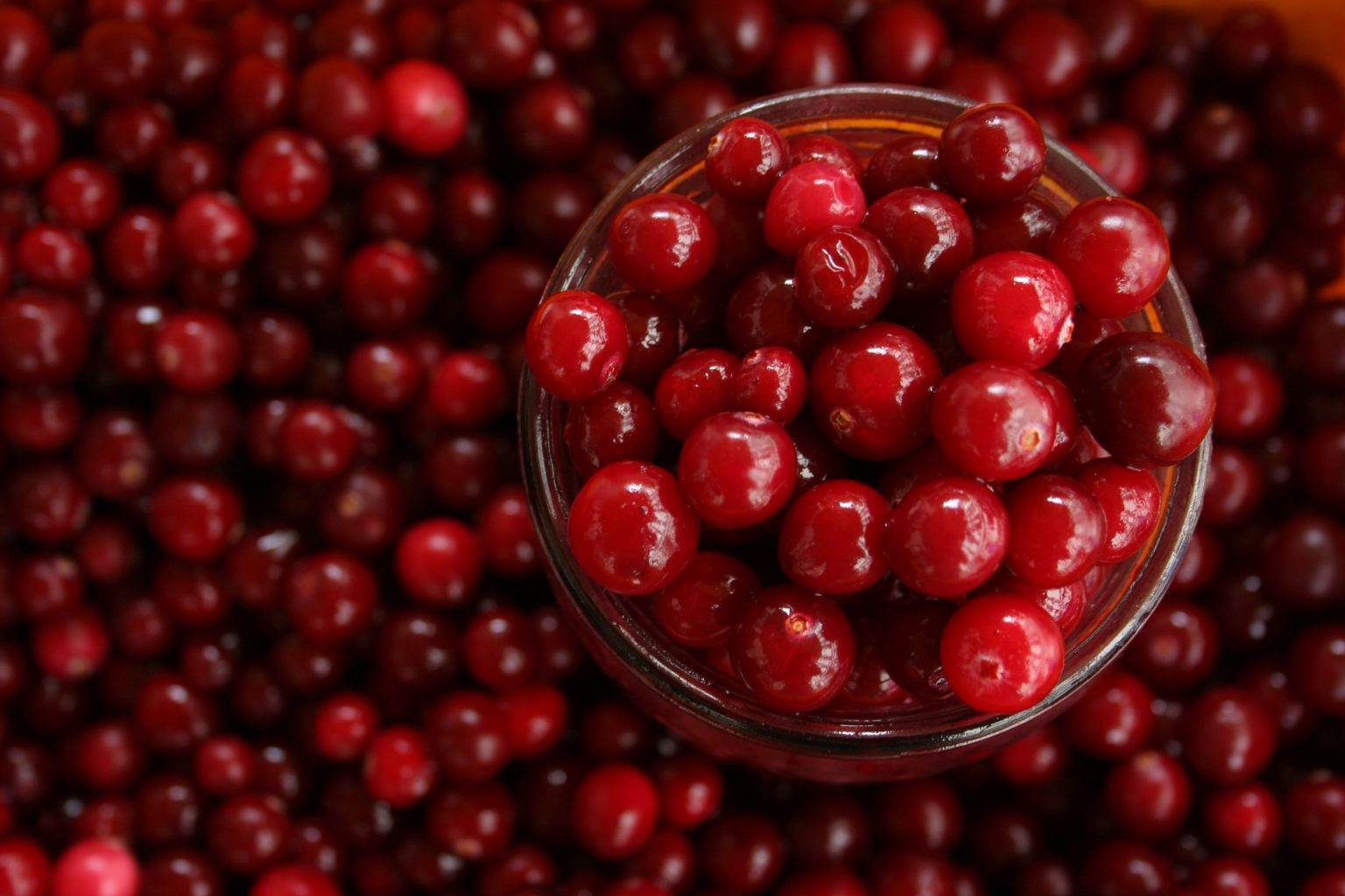 Mengenal Manfaat Cranberry bagi Kesehatan