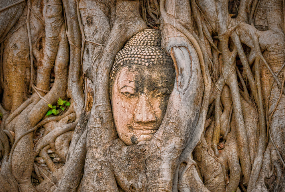 Patung Buddha yang terbungkus akar pohon