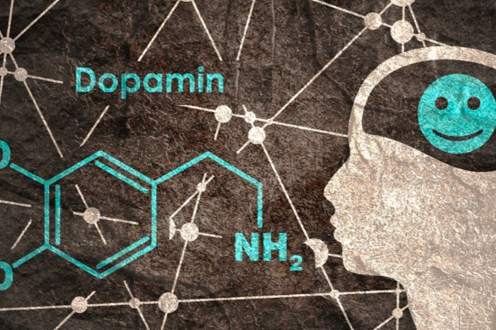 Pengaruh Dopamin terhadap Kesehatan Mental: Memahami Neurotransmiter Penting ( Pixabay )
