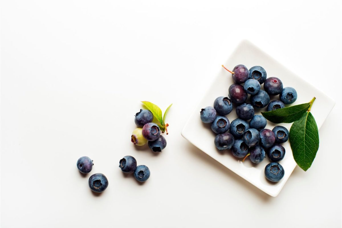 Menjaga Kesehatan dengan Keajaiban Blueberry sebagai Antioksidan Penangkal Radikal Bebas