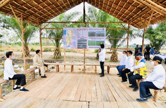 Presiden tinjau lokasi pengembangan Lumbung Pangan Nasional di Kabupaten Kapuas, pada Kamis, 9 Juli 2020. Foto: BPMI Setpres/Lukas