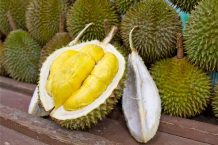 Manfaat Buah Durian untuk Meningkatkan Energi dan Vitalitas Tubuh