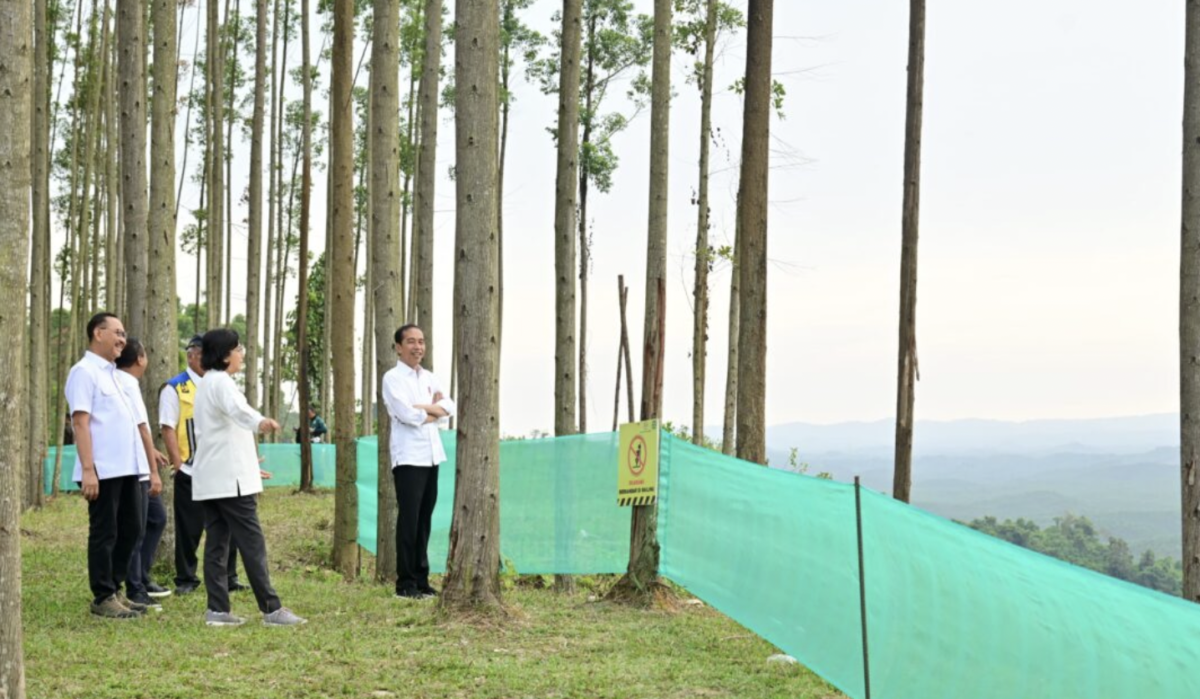 Presiden Jokowi dan sejumlah Menteri Kabinet Indonesia Maju tampak menikmati udara pagi sambil meninjau pemandangan serta progres pembangunan IKN dari atas bukit pada Jumat pagi, 22 September 2023. Foto: BPMI Setpres/Muchlis Jr