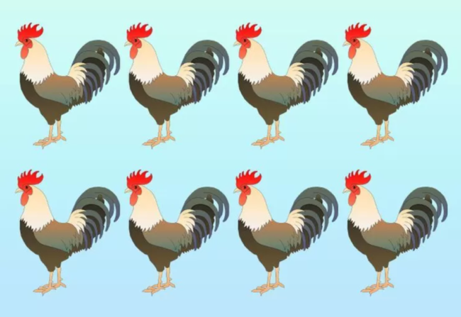 Tes IQ, Mengasah Kemampuan Visual: Temukan Ayam Berbeda dalam 10 Detik