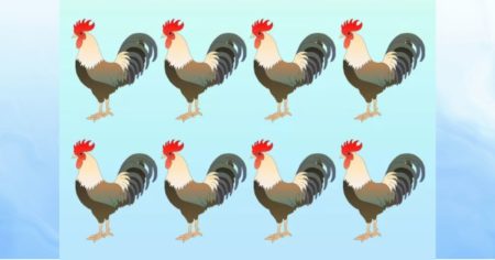 Tes IQ, Mengasah Kemampuan Visual: Temukan Ayam Berbeda dalam 10 Detik