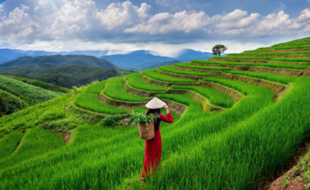Indonesia Dikenal sebagai Negara Agraris karena