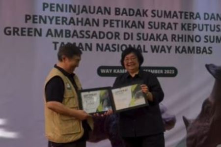 Menteri LHK Siti Nurbaya Beri Nama Dua Anak Badak Sumatera yang Lahir di TN Way Kambas