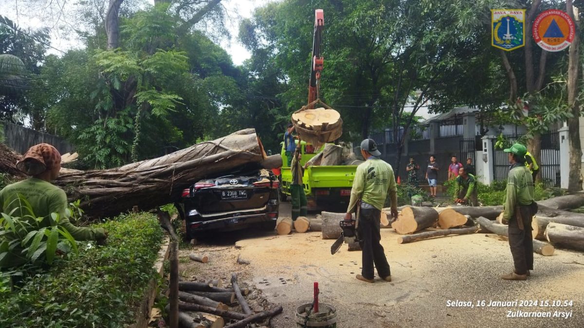 Pohon Tumbang Timpa Mobil Hingga Ringsek Depan Rumah Prabowo (Dok BPBD DKI Jakarta)