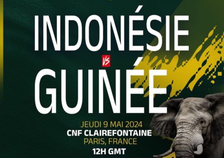 Indonesia vs Guinea