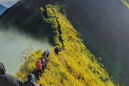 Gunung andong: destinasi favorit pendaki di magelang, jawa tengah