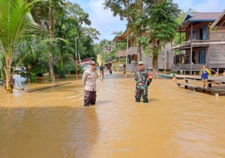 Banjir di Kabupaten Katingan, Kalteng (Dok BNPB)